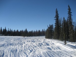 Sled dogs are injured in the Iditarod when they run over snowmachine or snowmobile ruts. Photo attributed to dweekly on flickr